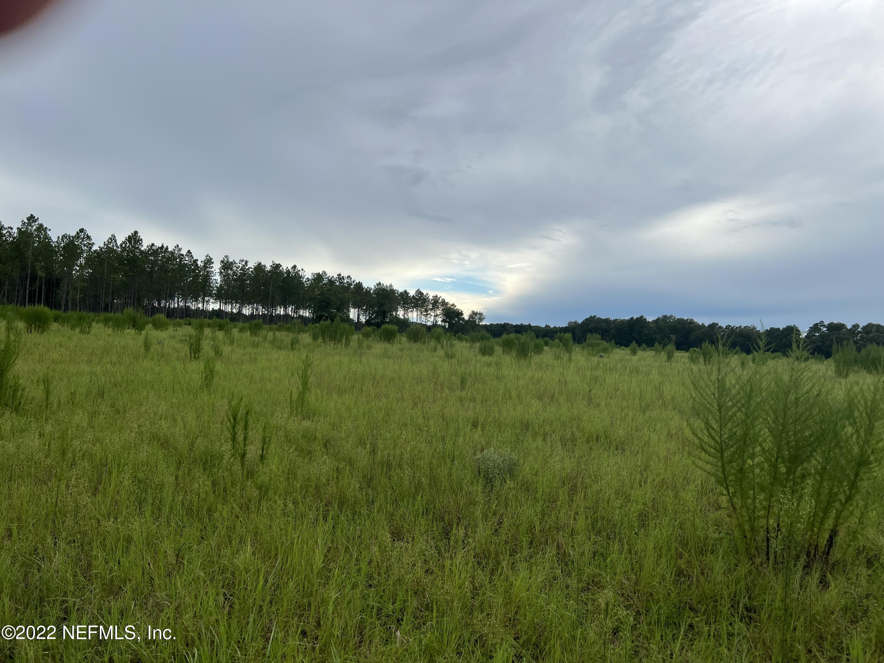 a view of a lake in middle of forest