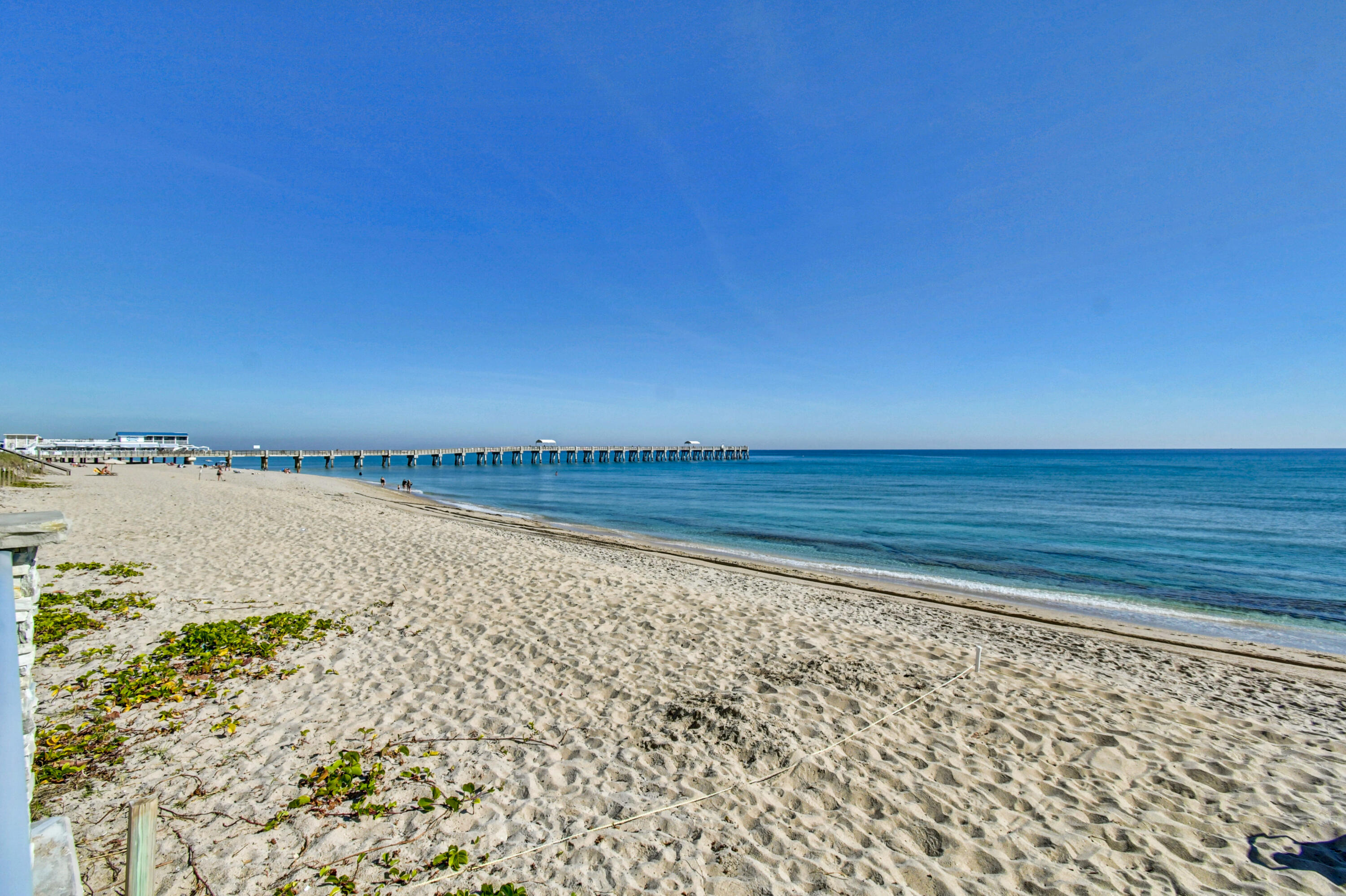 Oceanfront Palmbeacher