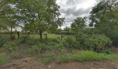 a view of a green field with lots of bushes