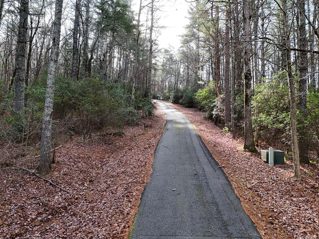 a view of a pathway with a yard