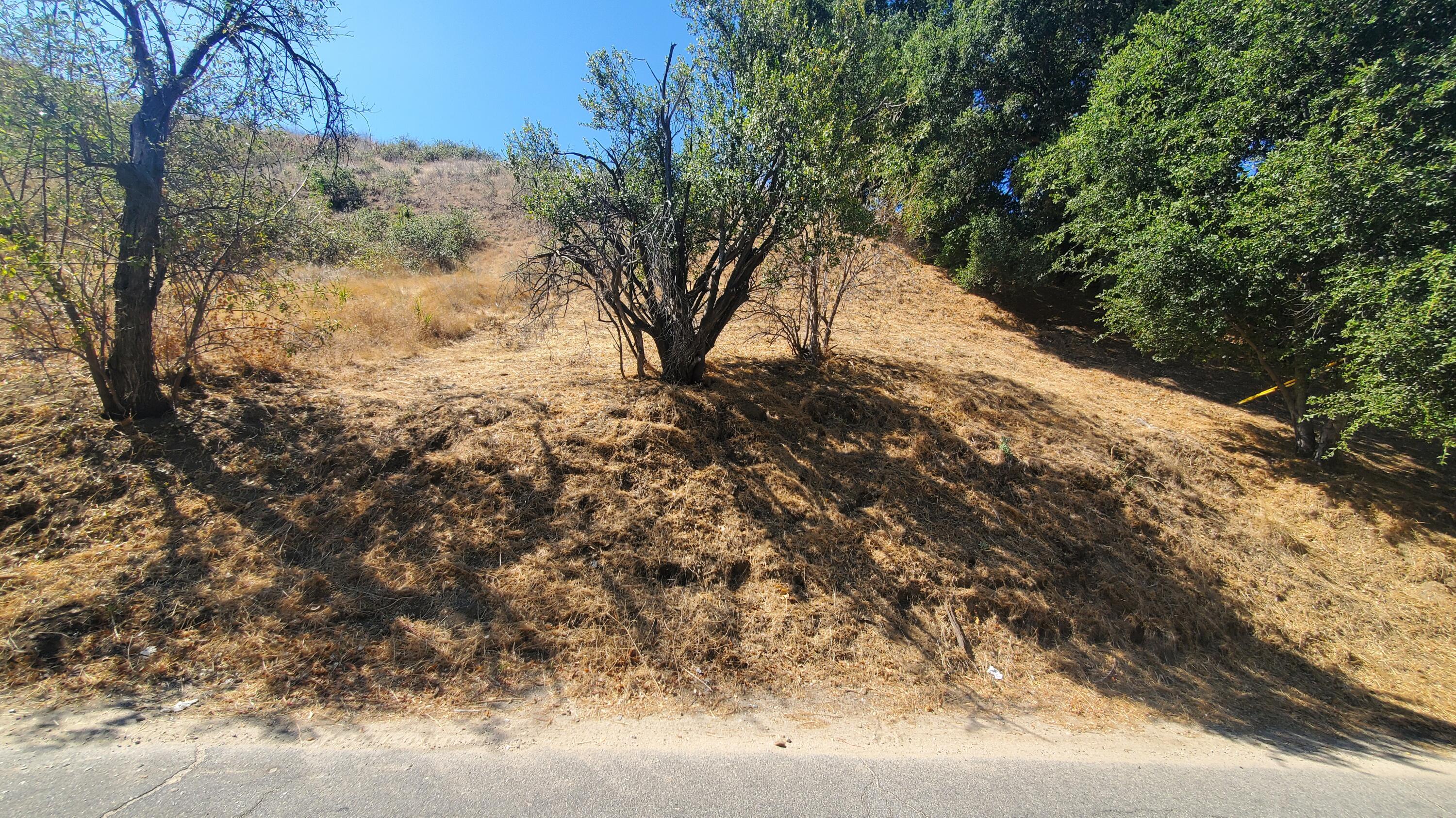 a view of mountain view with trees in the background