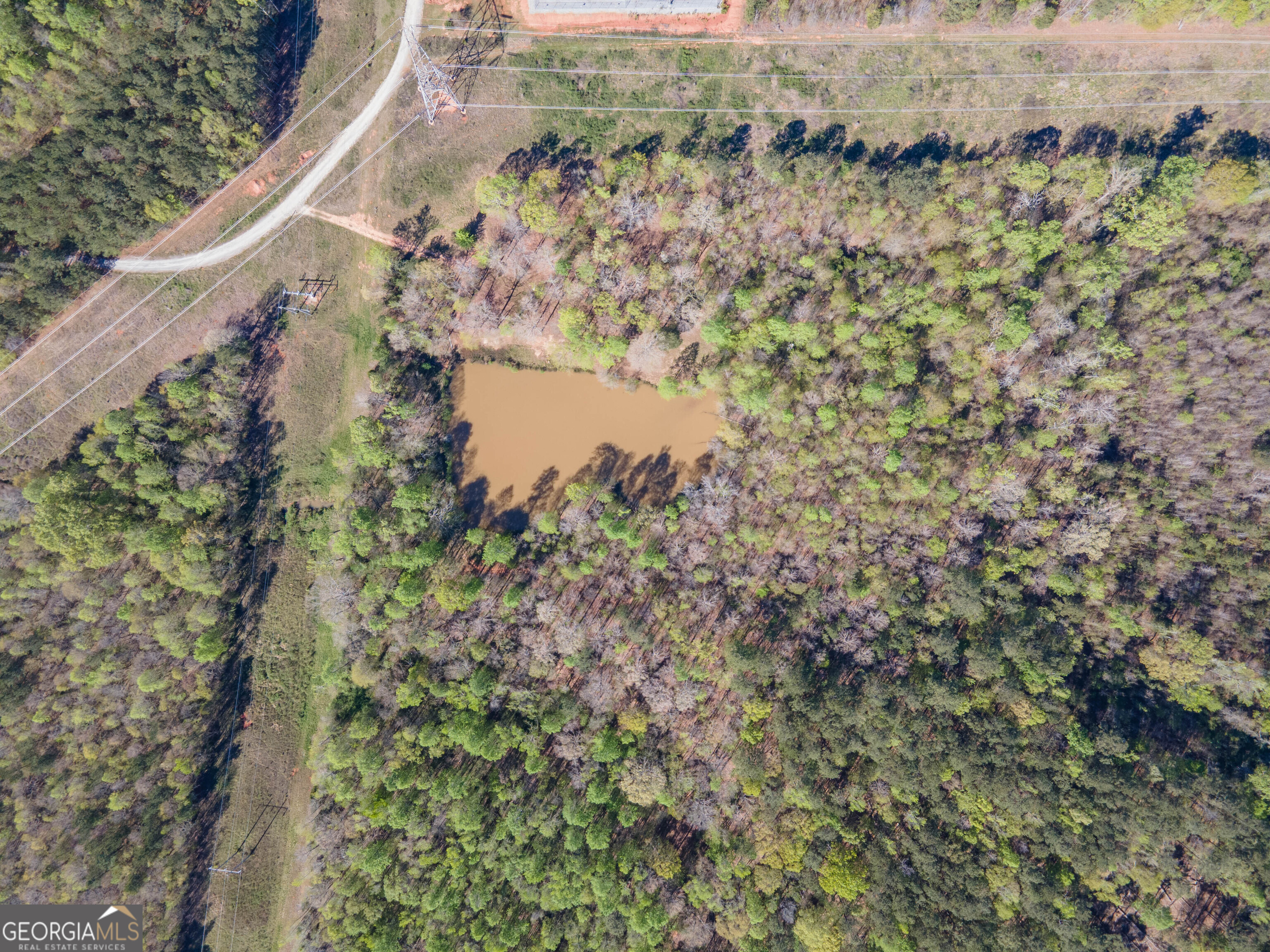 a view of a yard with a lake