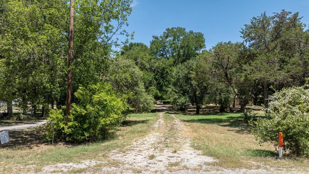 a view of a park with large trees