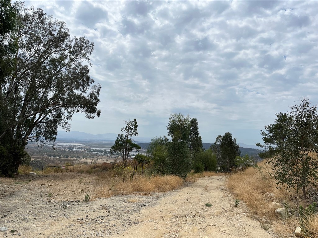 a view of a dry yard with trees