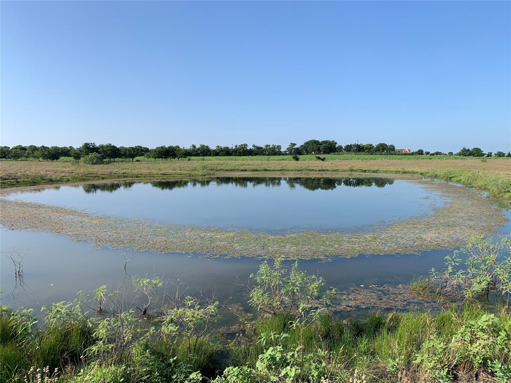 a view of a lake with a city view