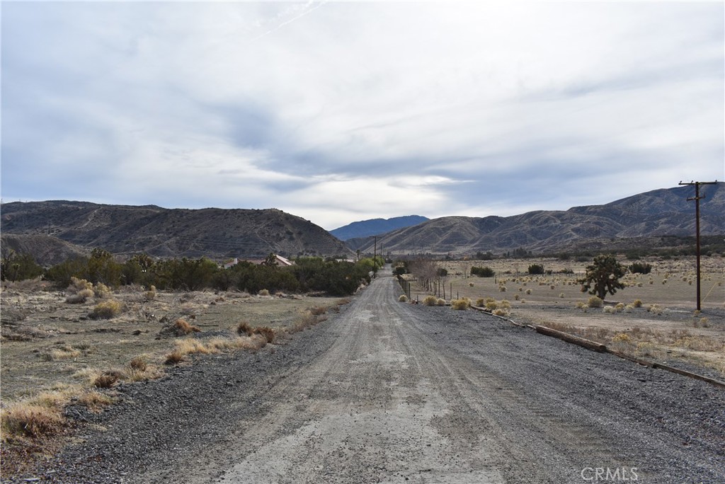 a view of a dry field with mountains in the background