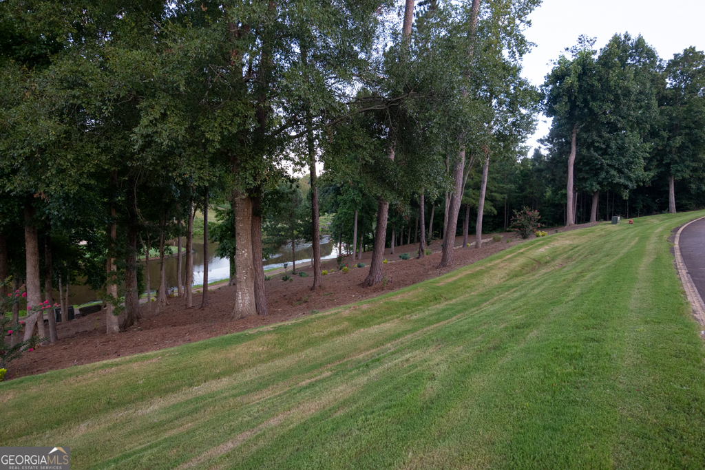 a view of park with trees