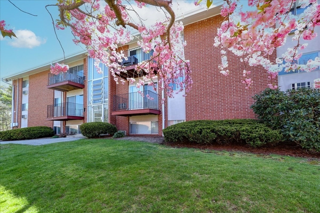 a view of a yard in front of a house