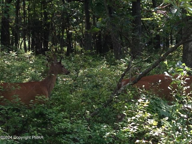 $22,000 | Restricted Address | Towamensing Trails