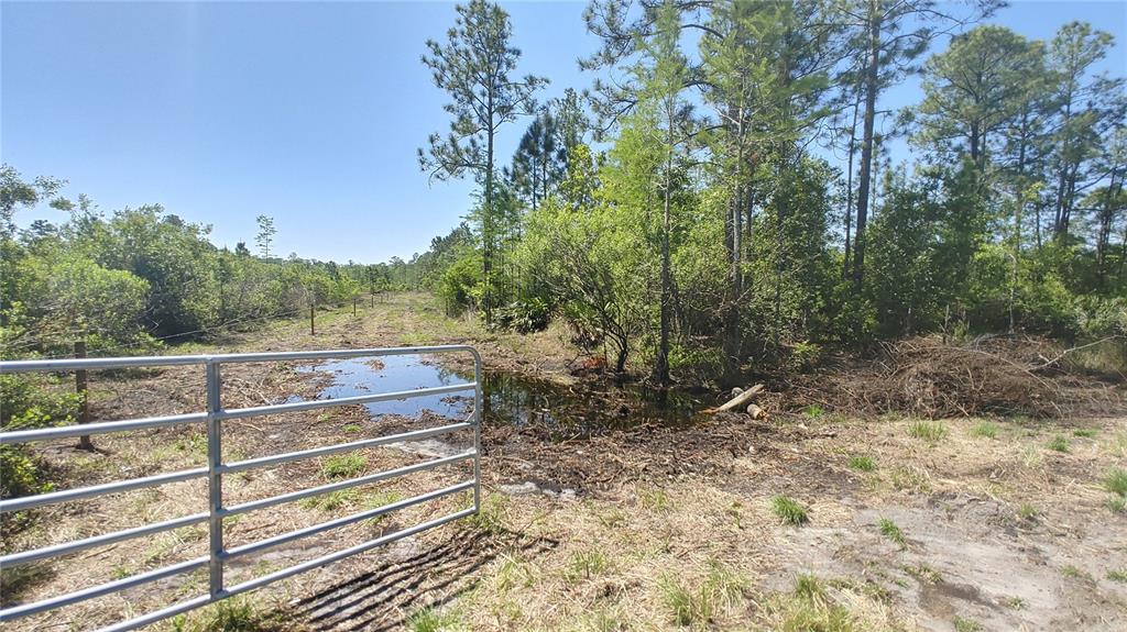 Lot 17 Omega Ranch Road New Smyrna Beach FL 32168 Compass