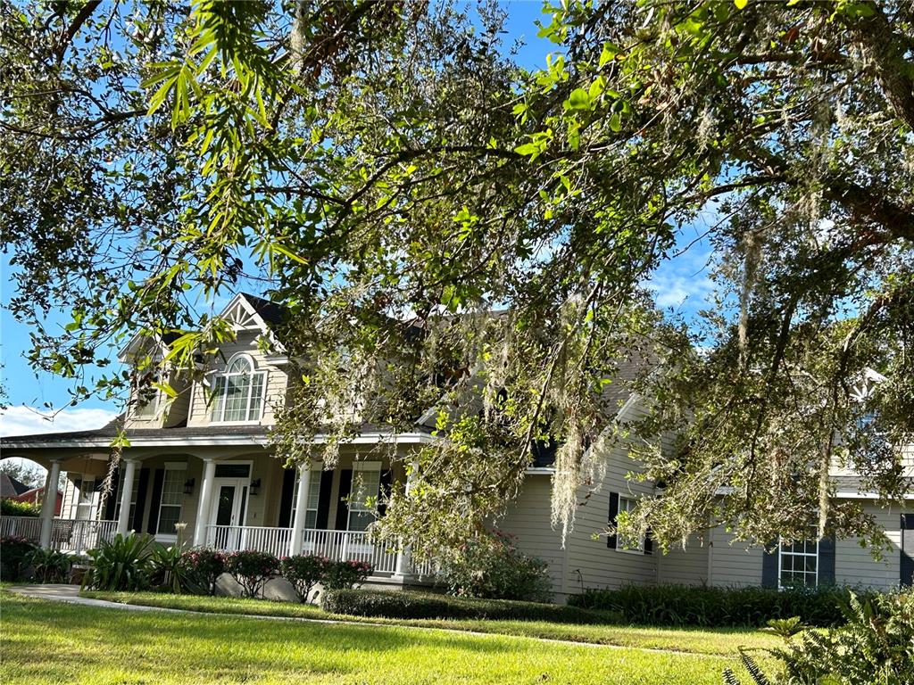 front view of a house with a tree