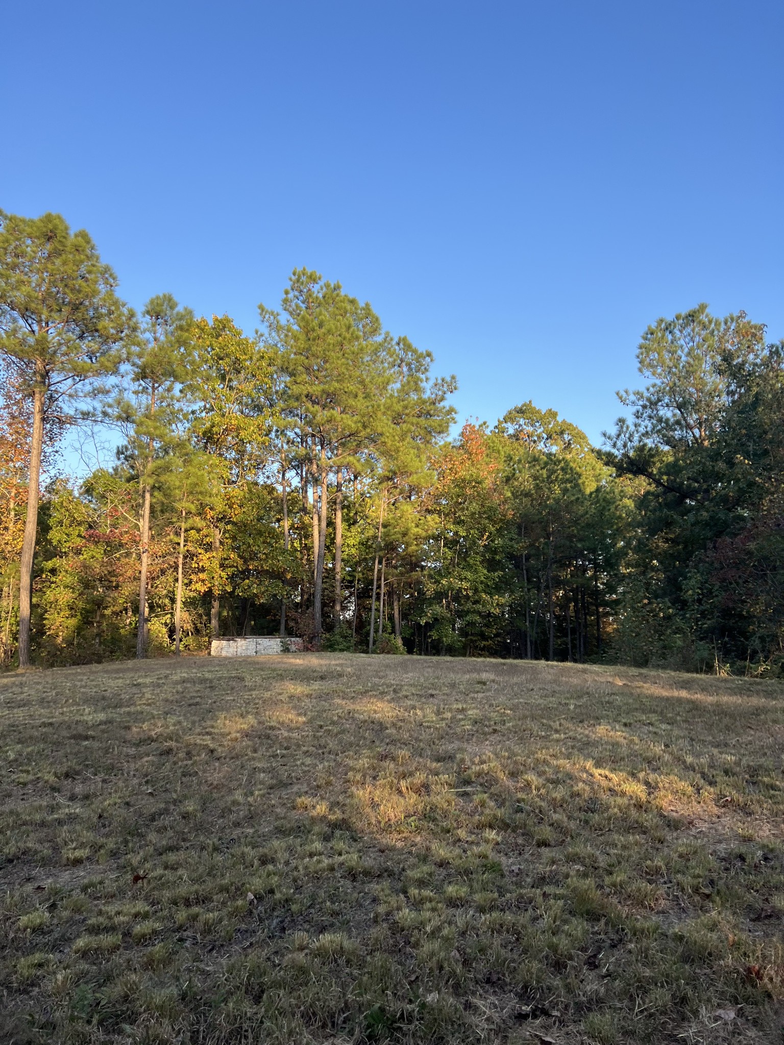 a view of a field with trees in the background