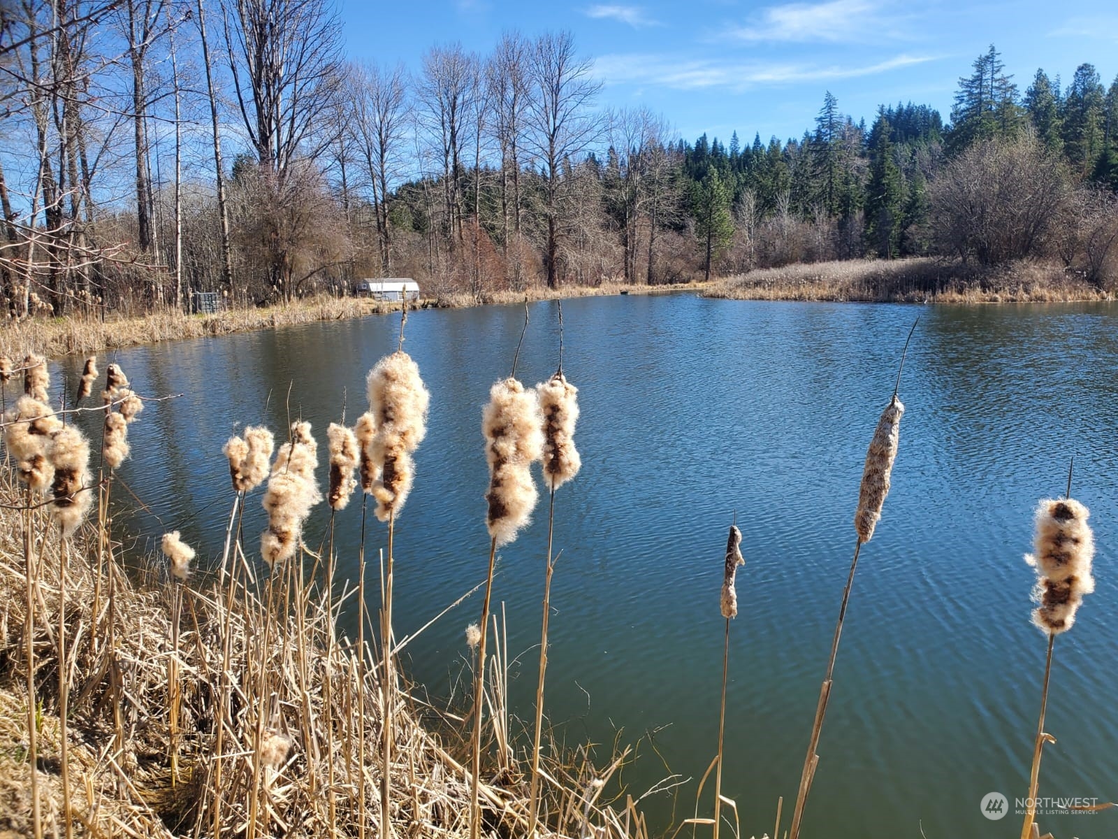 a view of a lake with a mountain in the background