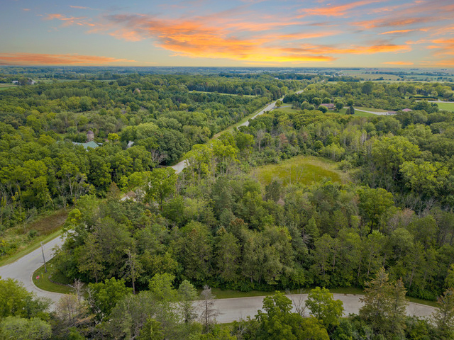 a view of a green field with lots of trees