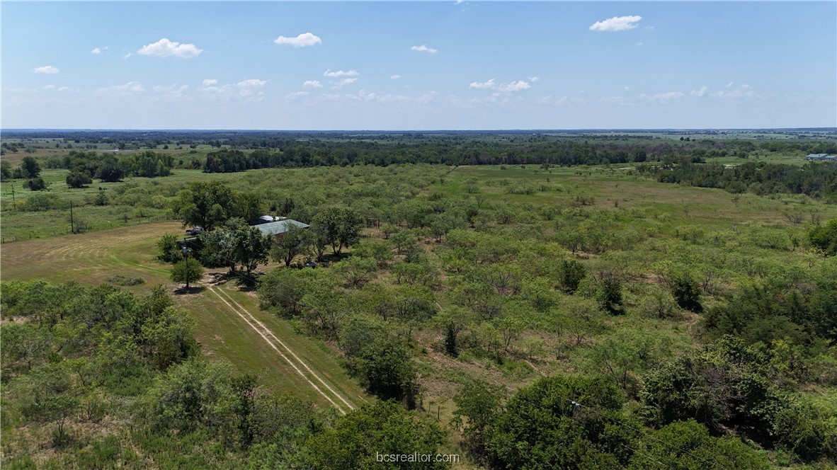 a view of a field with an trees