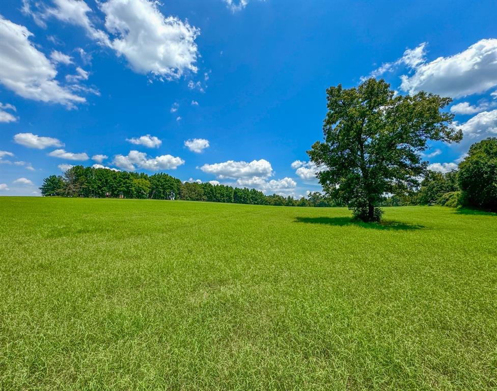 a view of yard with green space