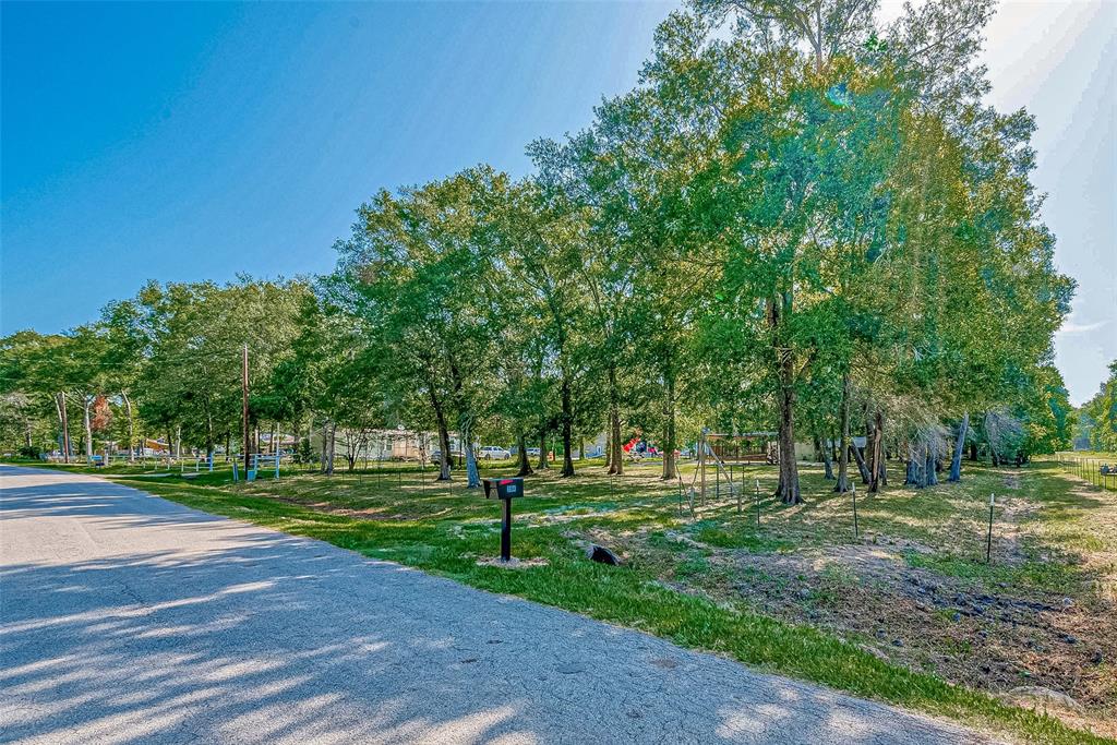 a view of a park with tree s