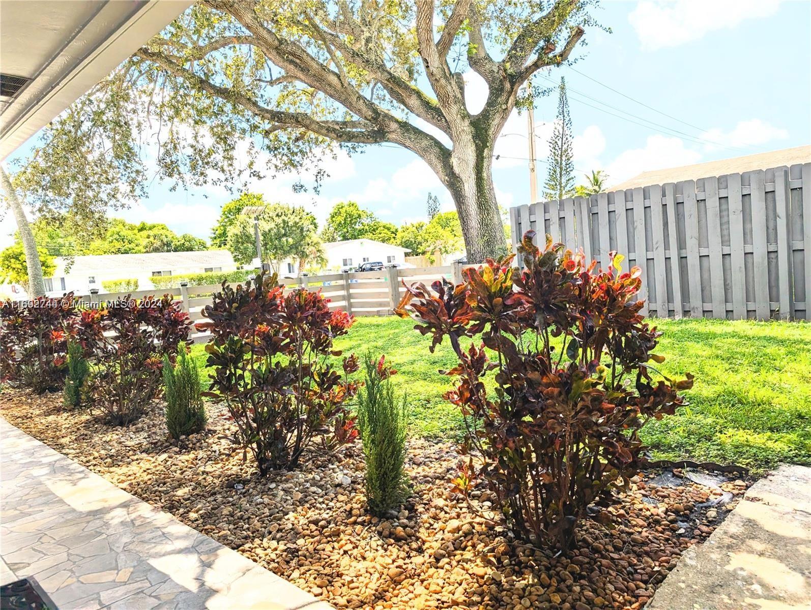 a view of a garden with plants