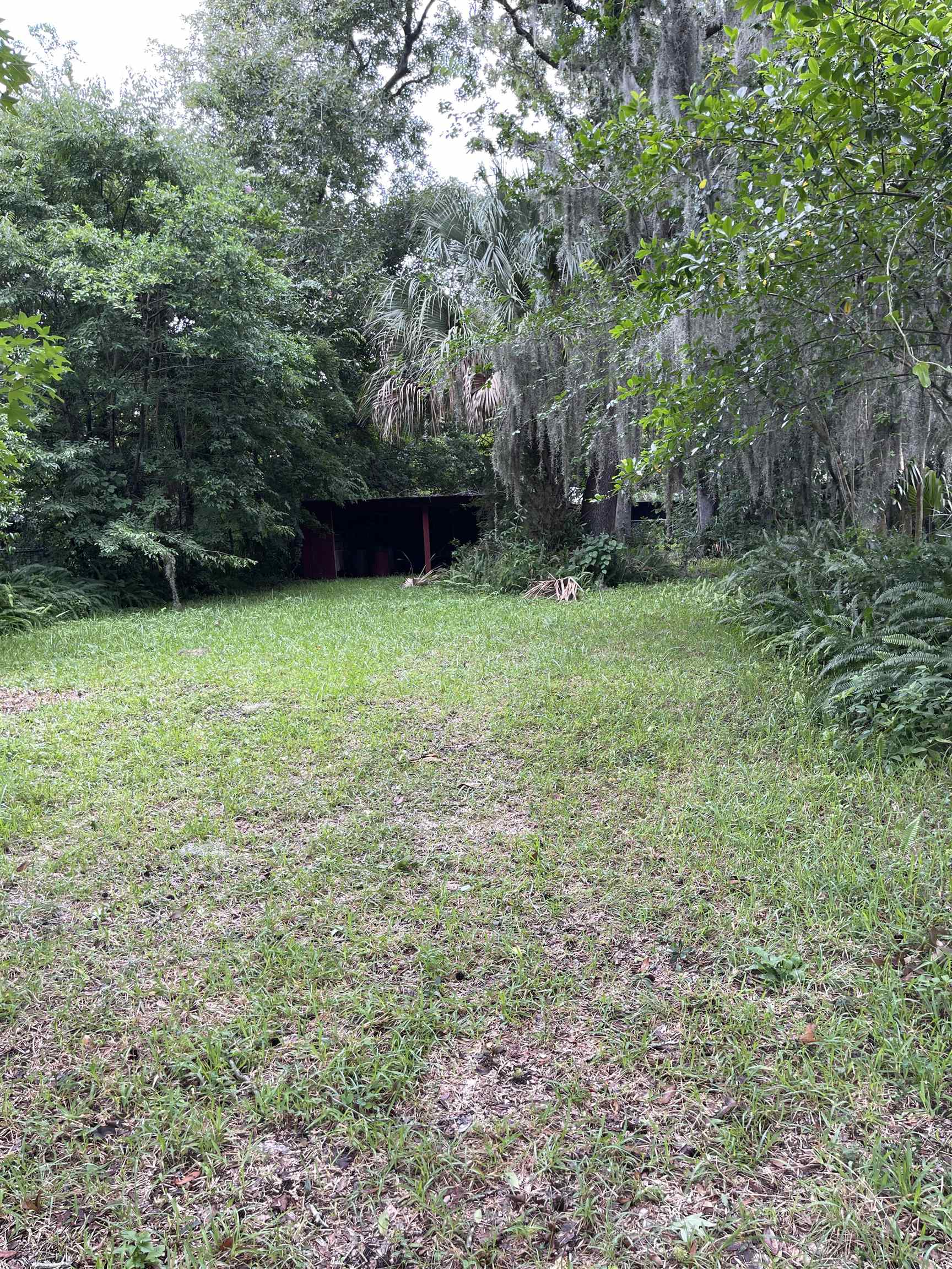 a view of outdoor space and yard