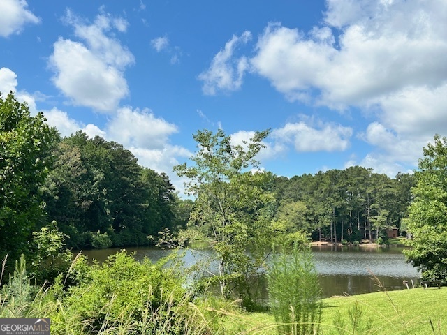 a view of a lake with green space