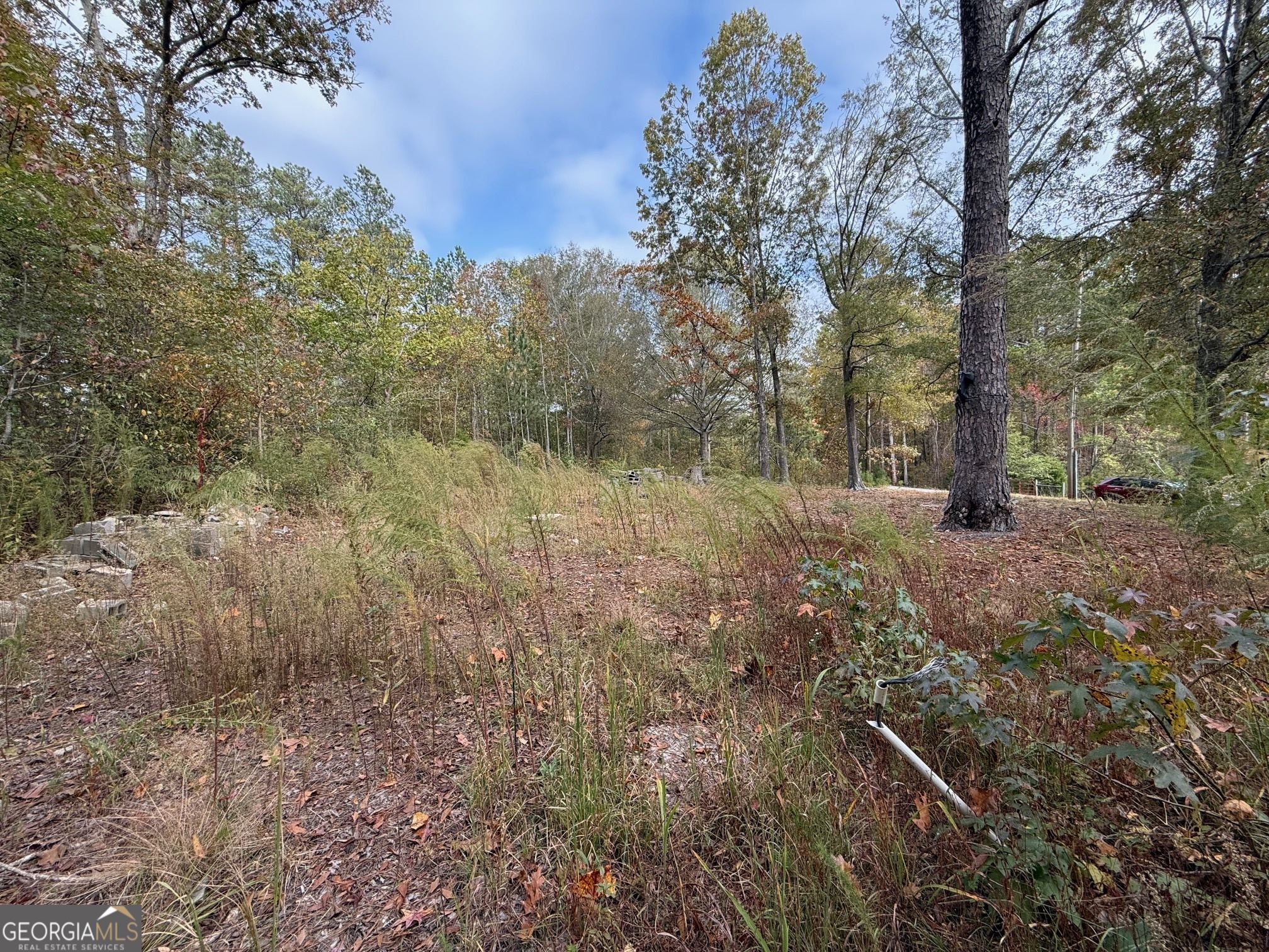 a view of open space with green space