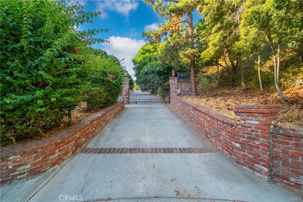 a view of a pathway with a yard