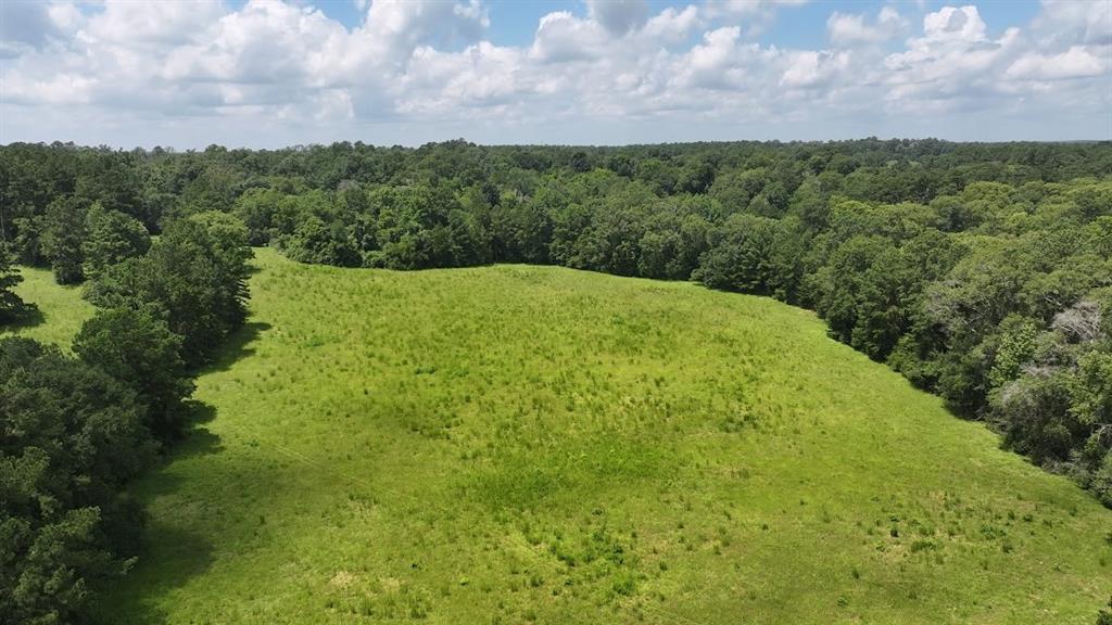 a view of a big yard with large trees