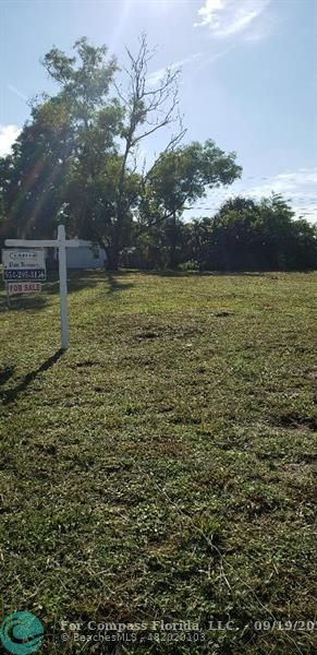 a view of a yard