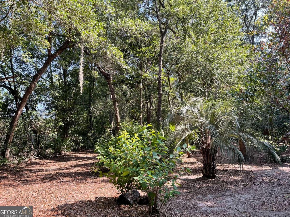 a view of a yard with plants and trees