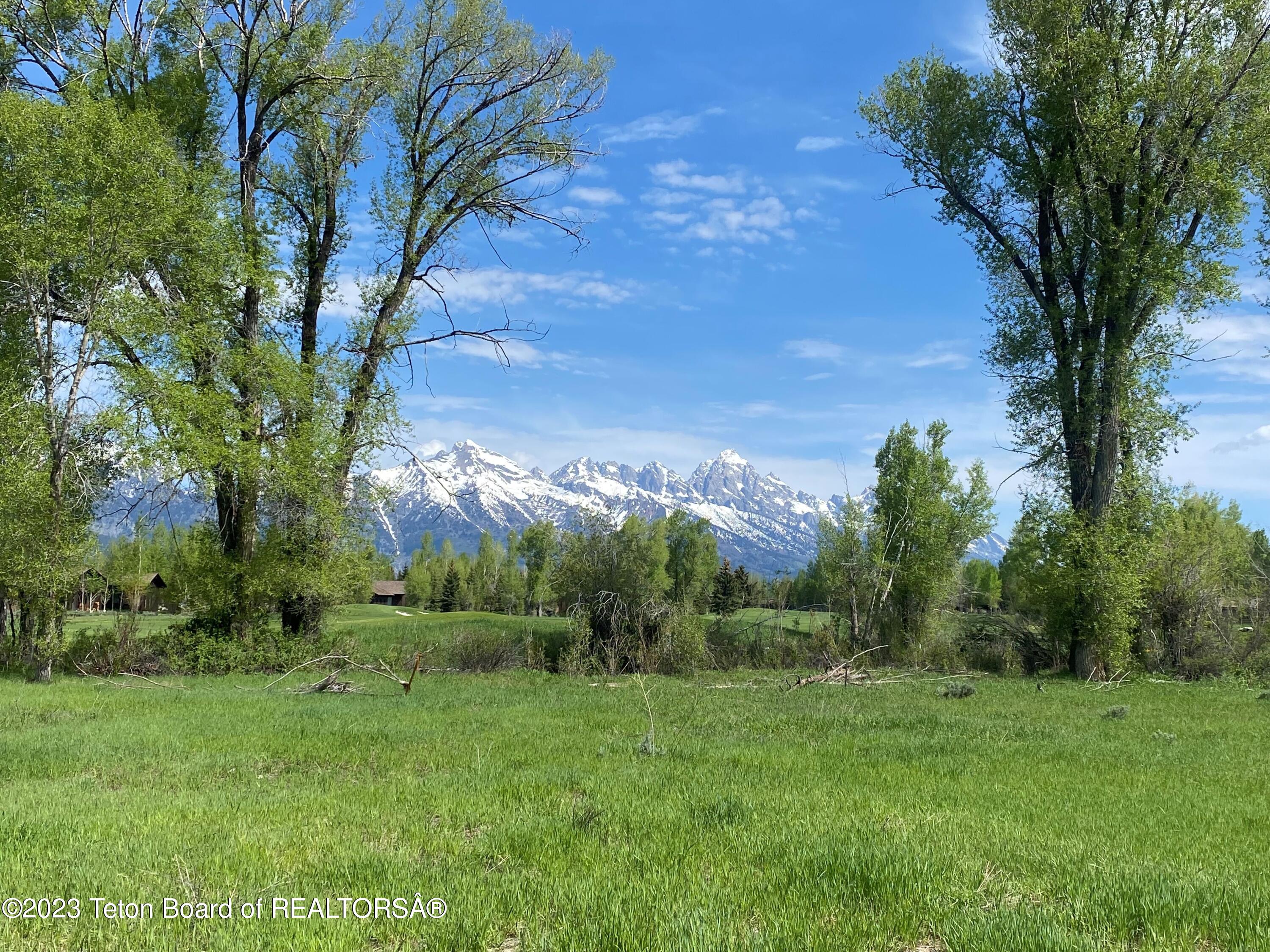 Grand Teton view