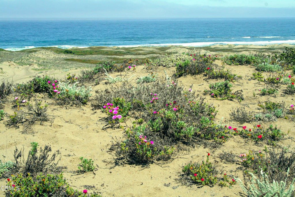 a view of a houses with beach and ocean