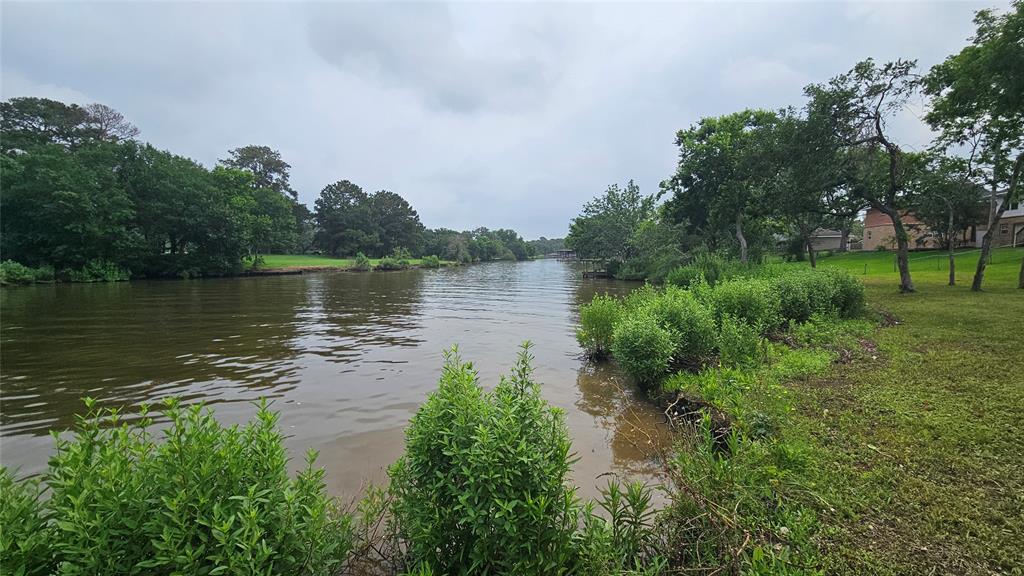 a view of a lake with a yard and large trees