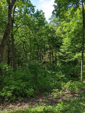 $7,500 | Lot 1-2 Highland Road | Shoal Creek Township - Cherokee County