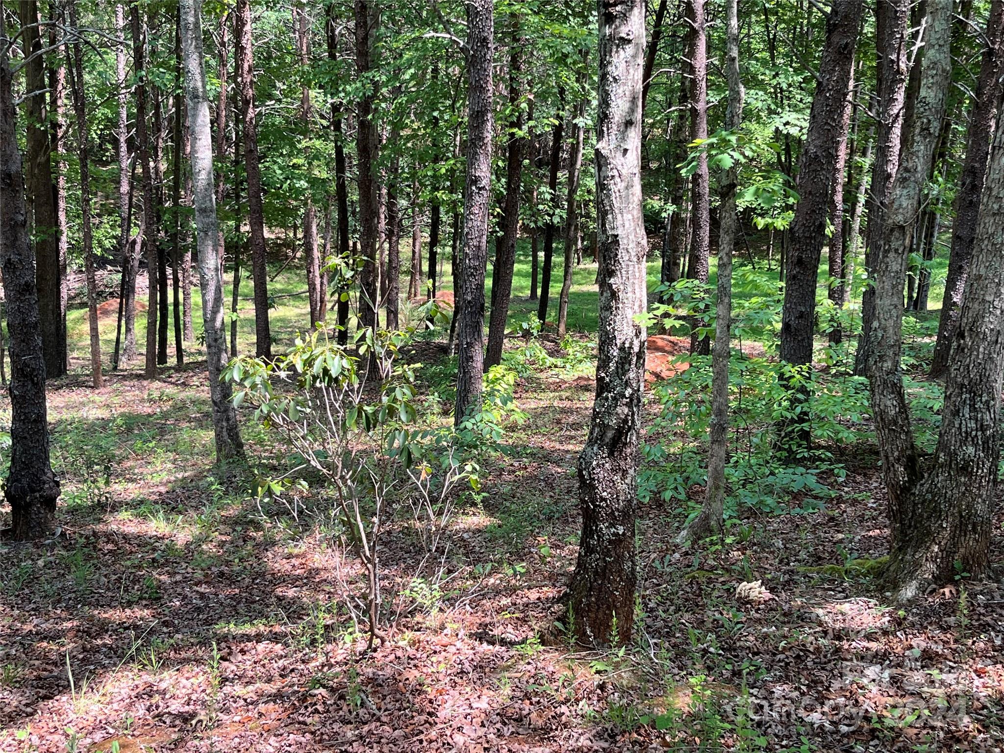 a view of outdoor space and trees