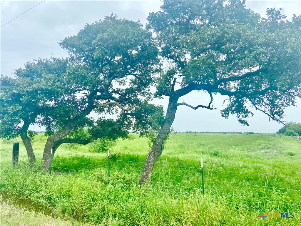 a view of yard with green space