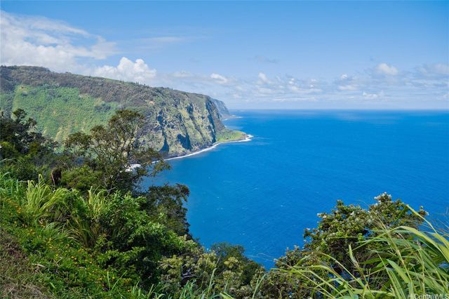 $2,995,000 | 48-5528 Honokaa-Waipio Road | Kukuihaele