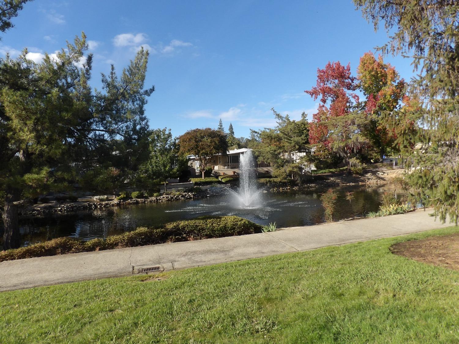 a view of lake