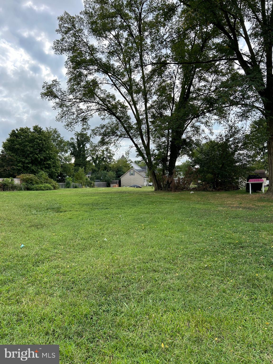 a view of a grassy field with trees