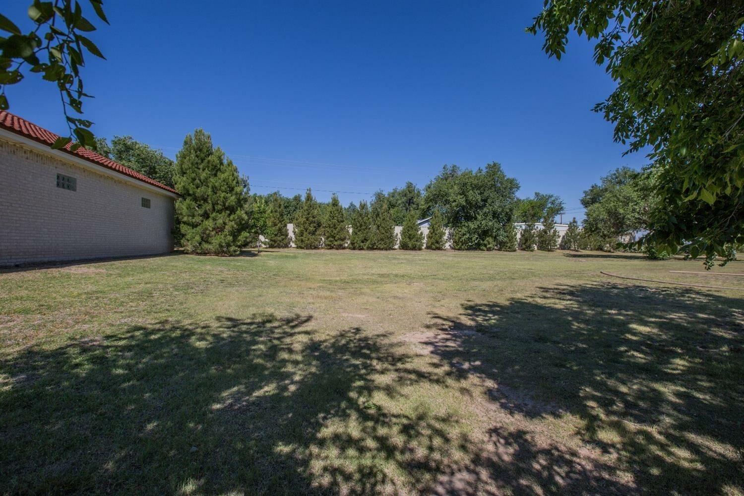 a view of a grassy field with trees