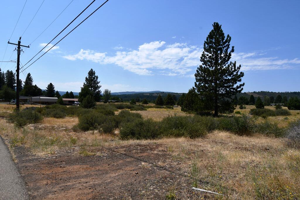 a view of a lake from a yard