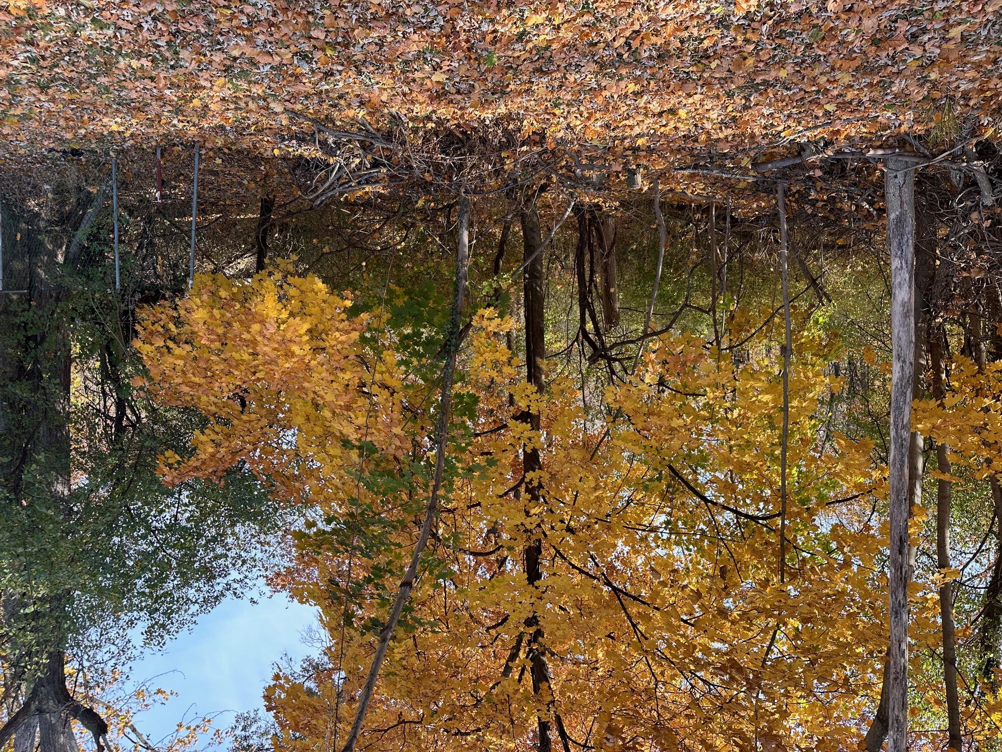 View of landscape