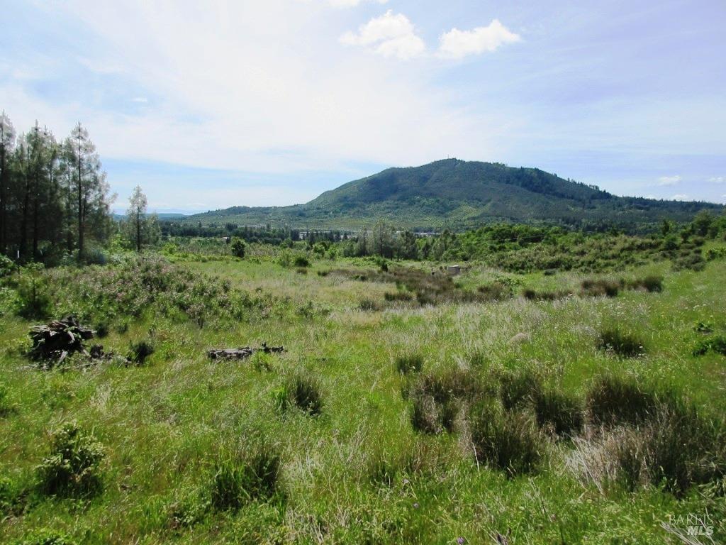 a view of a lush green space with sea