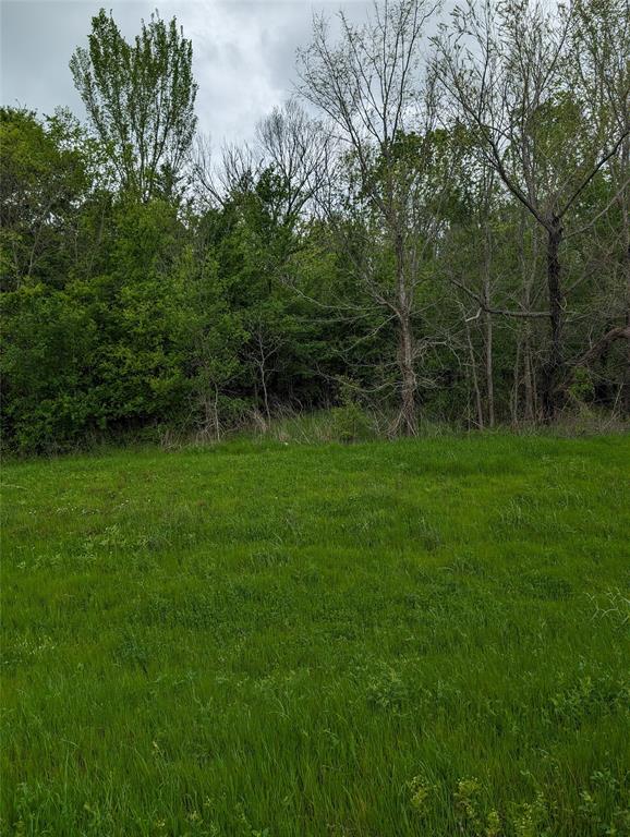 a view of a grassy field with trees