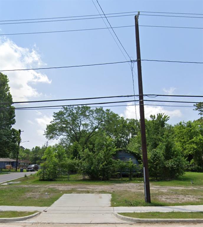 a view of a yard from a window