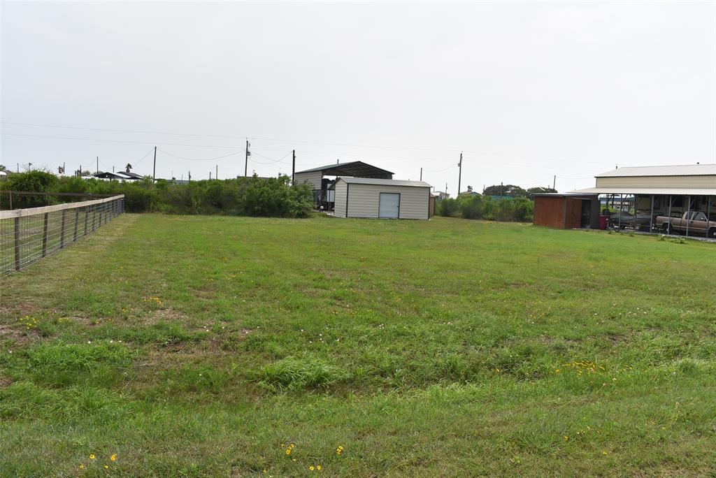 a view of a large garden with plants