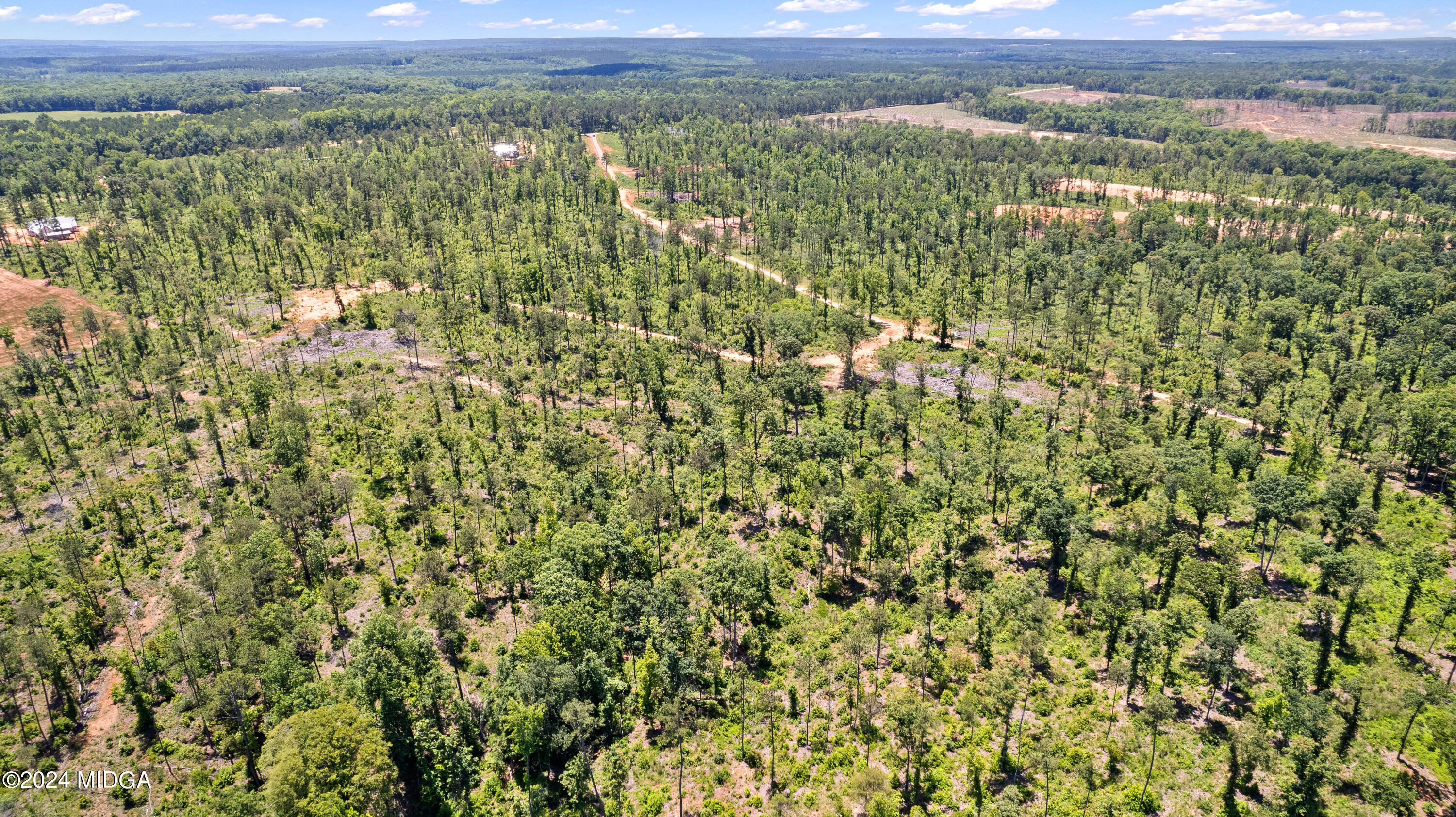 a view of a city with lush green forest