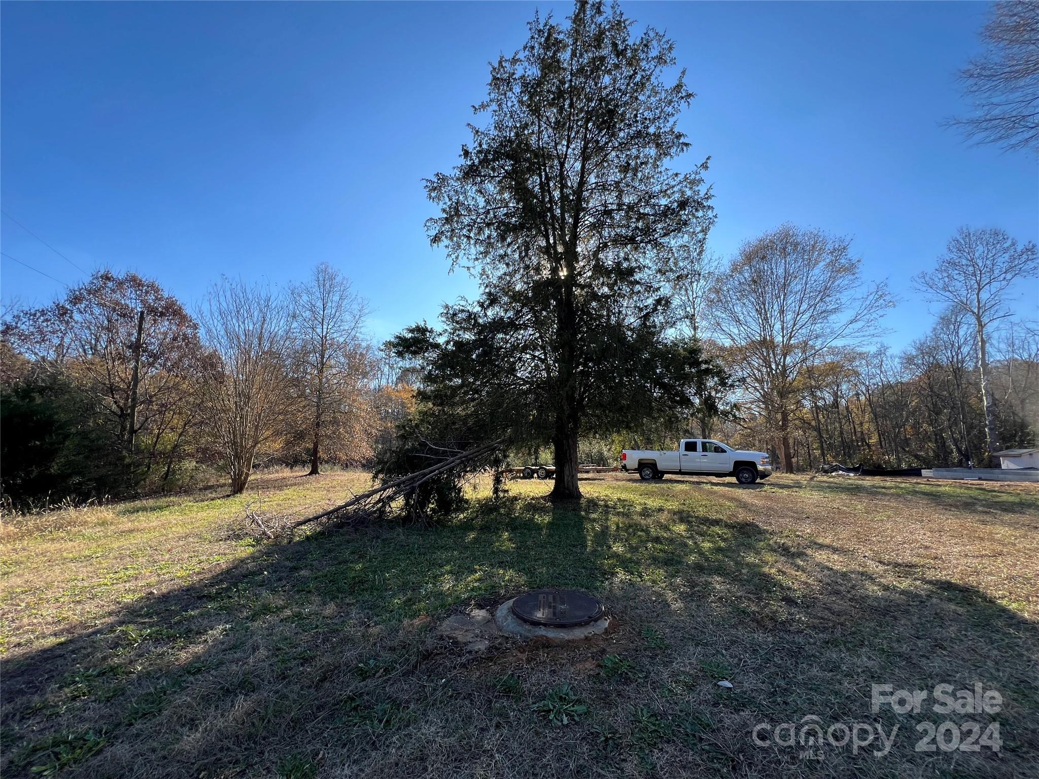 a view of a yard with a tree