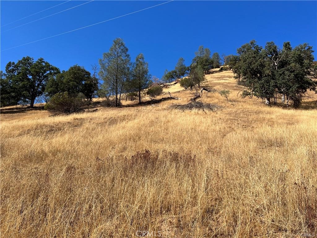 a view of a field