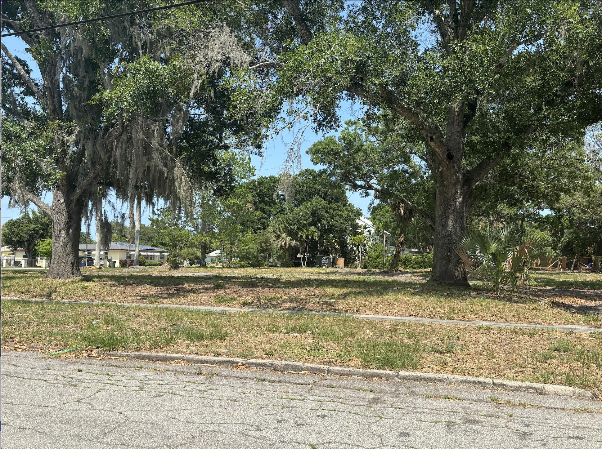 a view of a yard with a trees