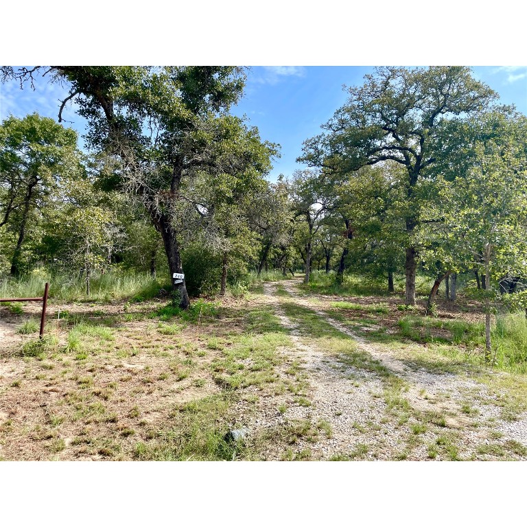 Entrance To The Property